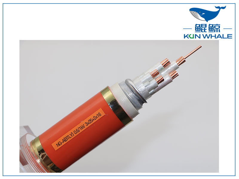 鄭州電纜廠(chǎng)淺談btly是什么電纜的型號(hào)